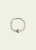 DSC_3107_nn.png